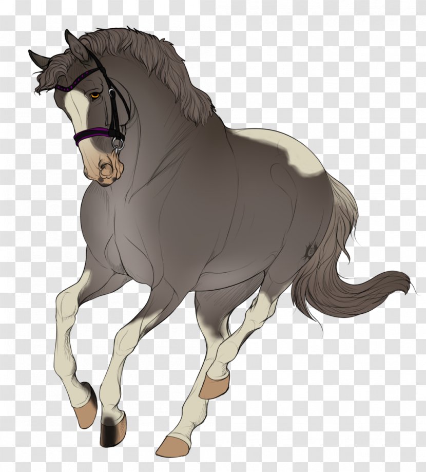 Mane Mustang Stallion Foal Colt Transparent PNG