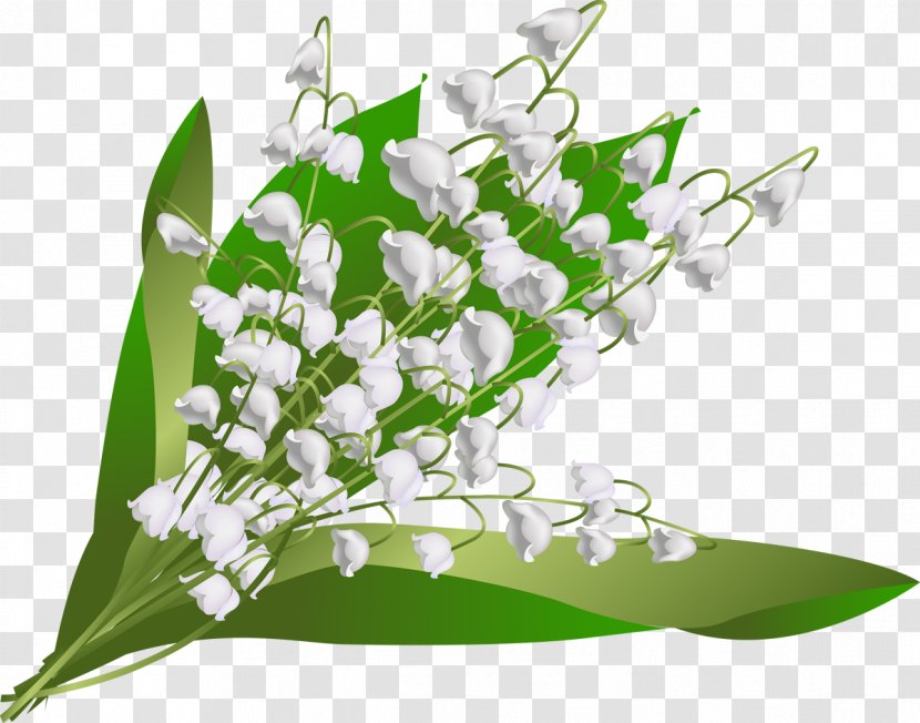 Flower May 1 Floral Design Floristry Hauts-de-Seine - Plant - Lily Of The Valley Transparent PNG