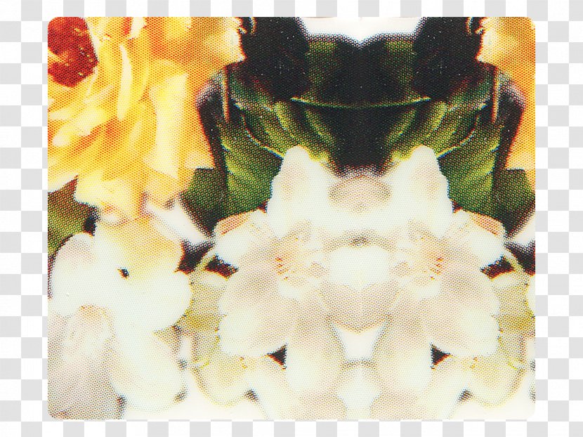 Satin Yellow Polyurethane Textile Blue - Flower - Rich Pink Buckle Free Photos Transparent PNG