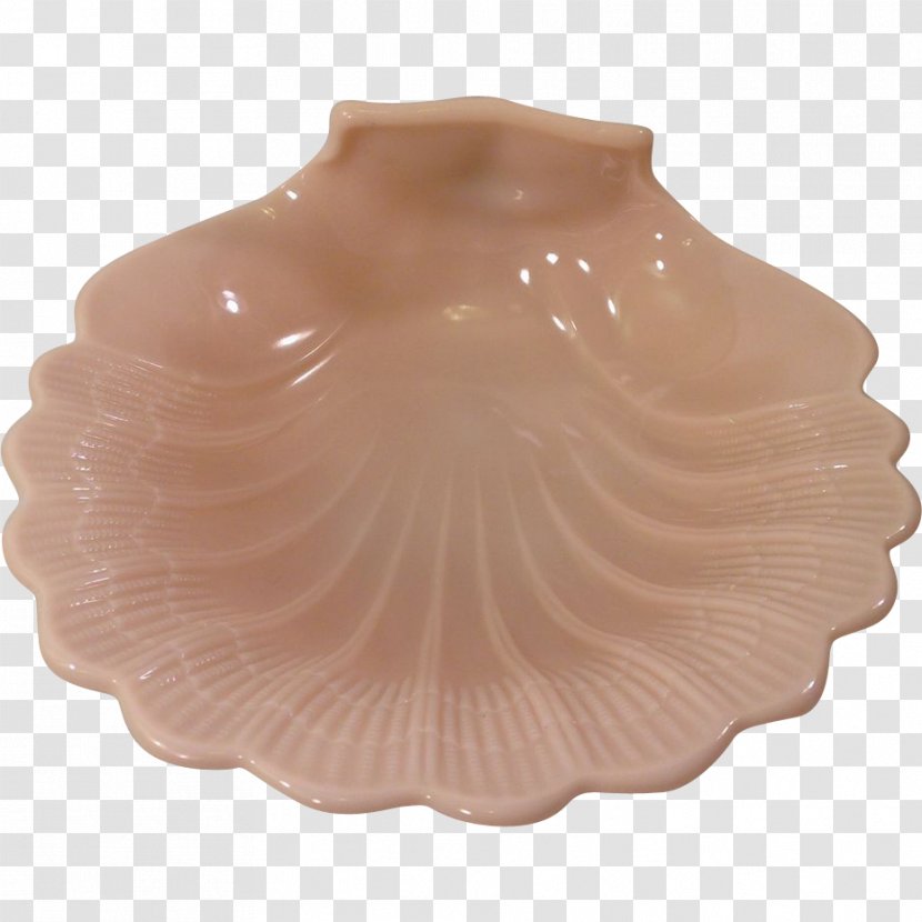 Seashell Tableware - Platter Transparent PNG
