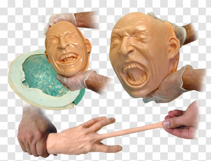 Silicone Foam Latex Molding - Head - Casting Transparent PNG