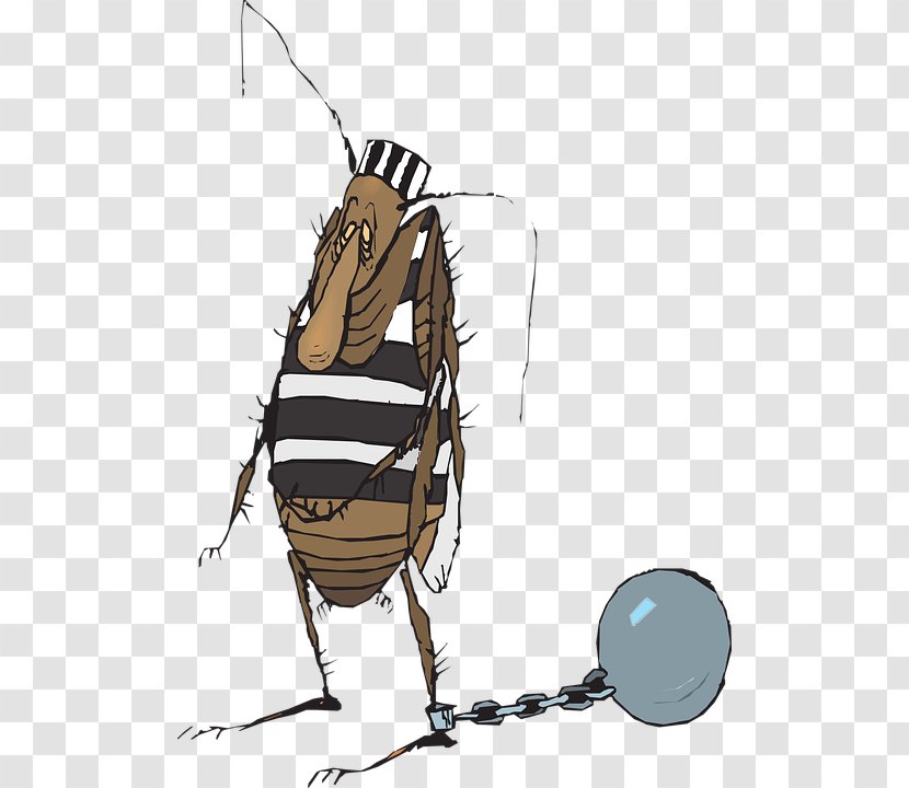 Ant Prisoner Insect Cockroach - Invertebrate Transparent PNG