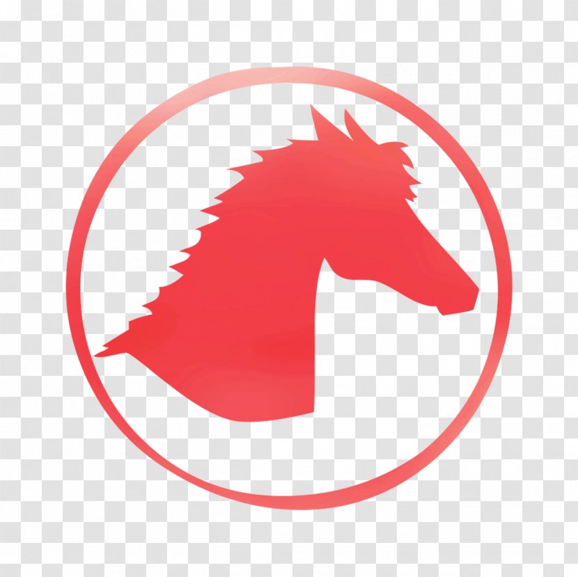 Jovem Pan FM Radio Broadcasting ZYC486 Internet - Mustang Horse Transparent PNG