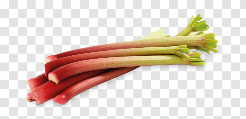 Rhubarb Vegetable Food Leaf Vegetable Plant Transparent PNG