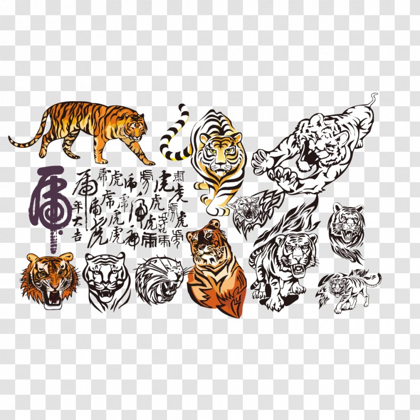 South China Tiger Illustration - Mammal Transparent PNG