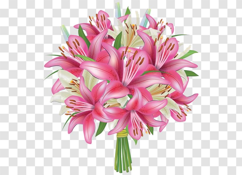Flower Bouquet Lilium Lily 'Stargazer' Clip Art Transparent PNG