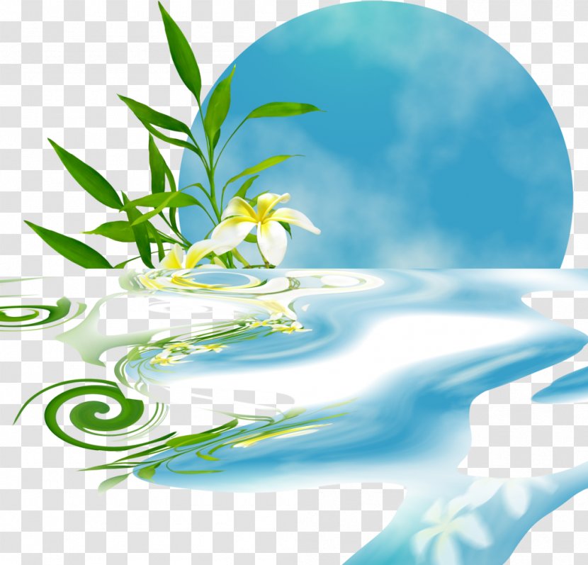 Desktop Wallpaper Clip Art - Se - Organism Transparent PNG