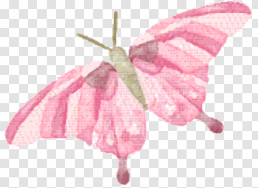 Pink Flower Cartoon - Wing - Anthurium Transparent PNG