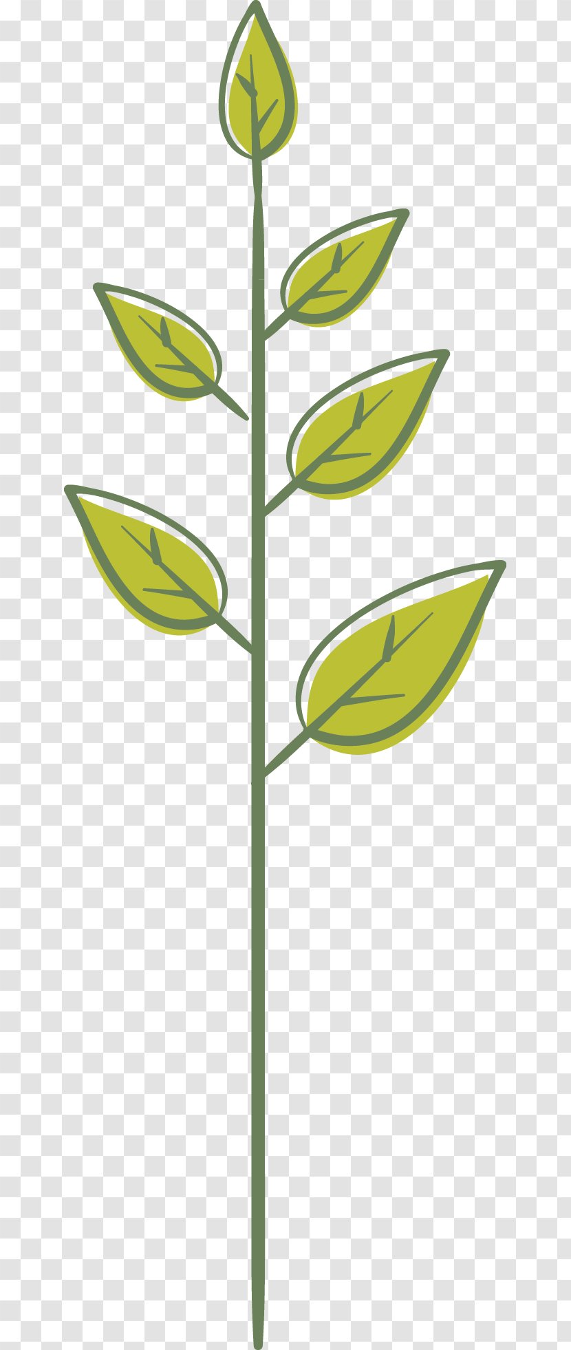 Leaf Green Plant Stem - Yellow - Leaves Transparent PNG