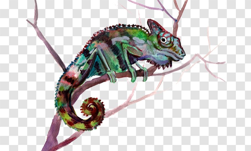 Chameleons Lizard Jacksons Chameleon - Green Transparent PNG