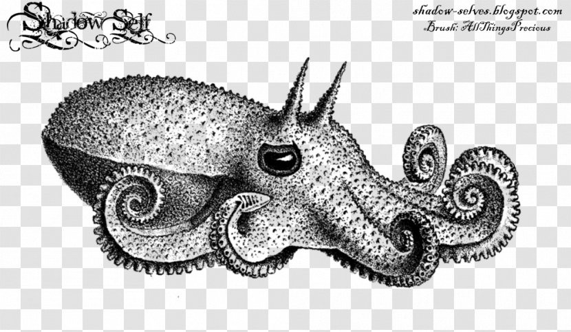 Octopus Squid The Cephalopoda Of Hawaiian Islands Drawing - Black And White - Ball Transparent PNG