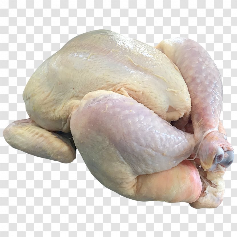Chicken As Food Milk Tavuk Göğsü Meat Transparent PNG