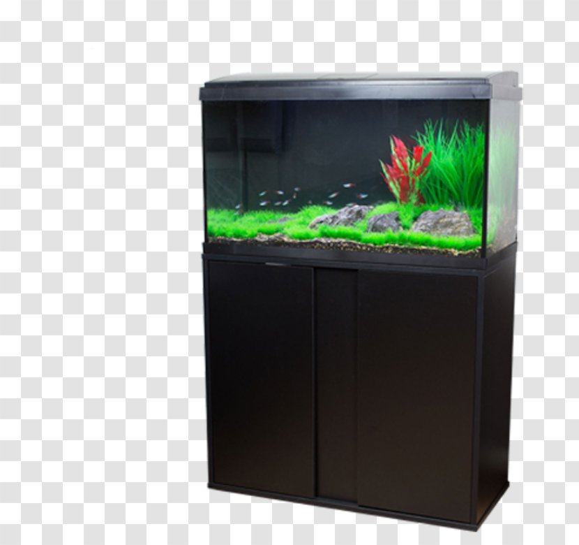 Freshwater Aquarium Discovery Aquatics Tropical Fish Aquascaping - Retail - Aqua Transparent PNG