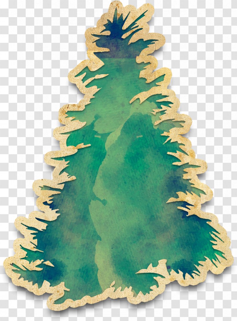 Fir Tree Watercolor Painting Birch Twig - Drawing Transparent PNG