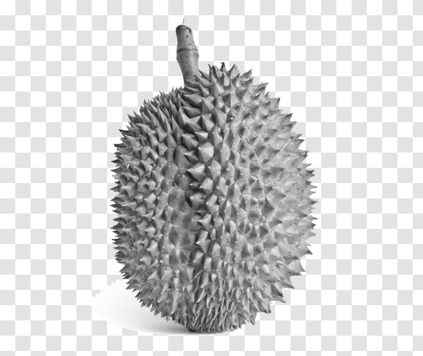 Durian Clip Art Image Stock Photography Royalty-free - Plant - Durian. Transparent PNG