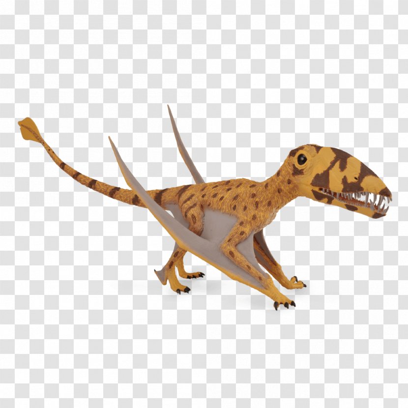 CollectA Dimorphodon Dinosaur Toy Pterosaurs Attenborosaurus - Terrestrial Animal Transparent PNG
