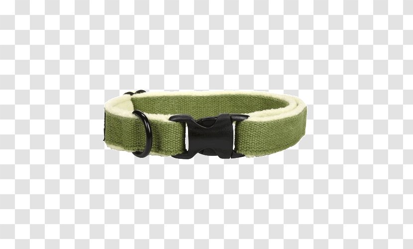 Golden Retriever Pug Cat Dog Collar - Belt Buckle Transparent PNG