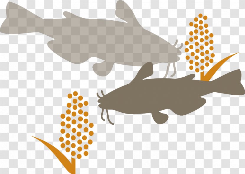 Fish Cartoon - Collage - Fin Transparent PNG