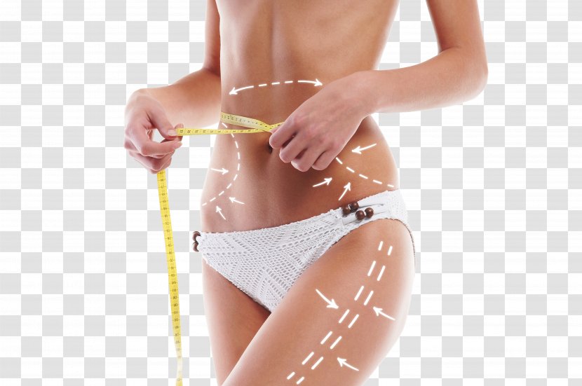 Mesotherapy Cellulite Surgery Skin - Heart - Slimming Curve Image Transparent PNG