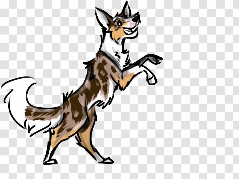 Dog Red Fox Horse Mammal Clip Art - Border Collie Blue Merle Transparent PNG