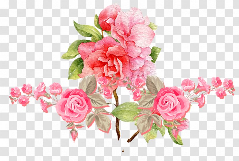 Beach Rose Pink Flower - Floral Design - Roses Transparent PNG