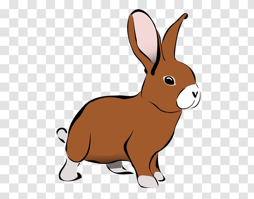 Domestic Rabbit Clip Art Transparent PNG