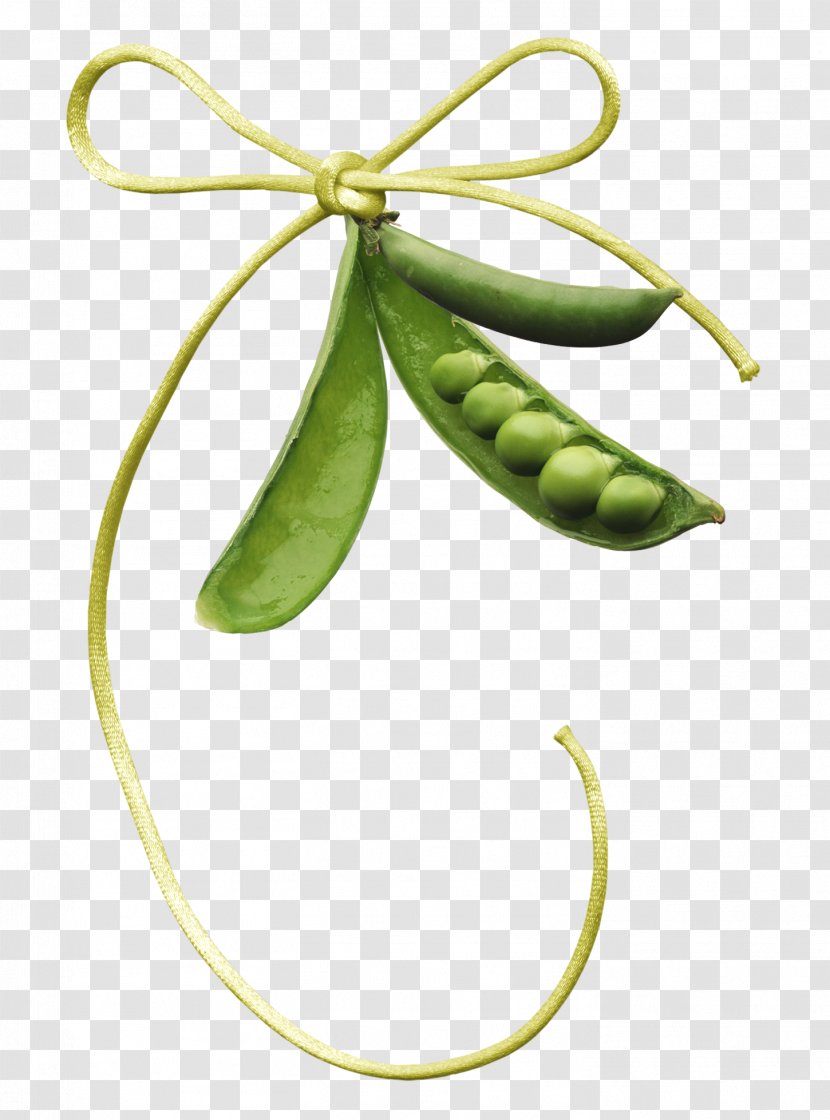 Pea Clip Art - Common Sunflower - Bowknot Peas Material Free To Pull Transparent PNG