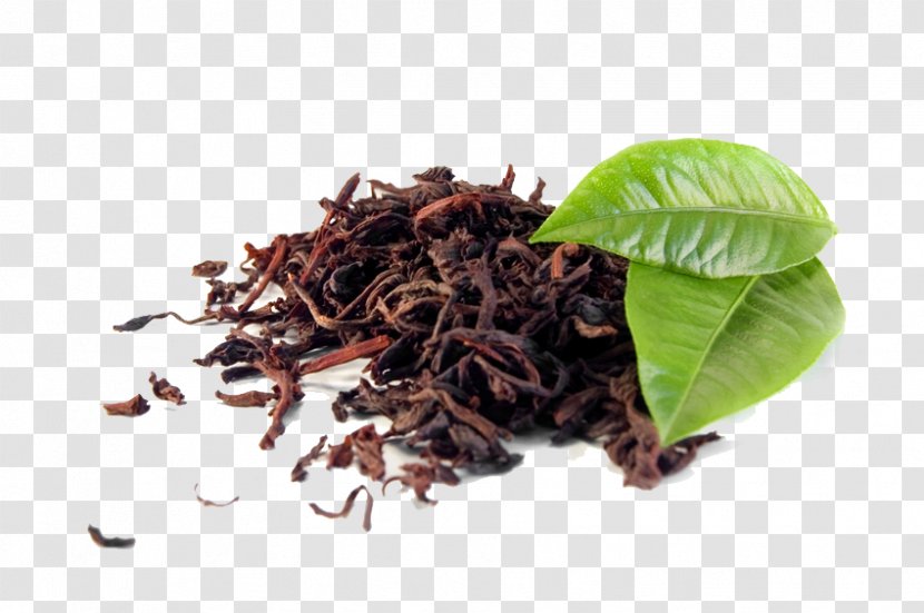 Green Tea Darjeeling Black Assam - Herb Transparent PNG