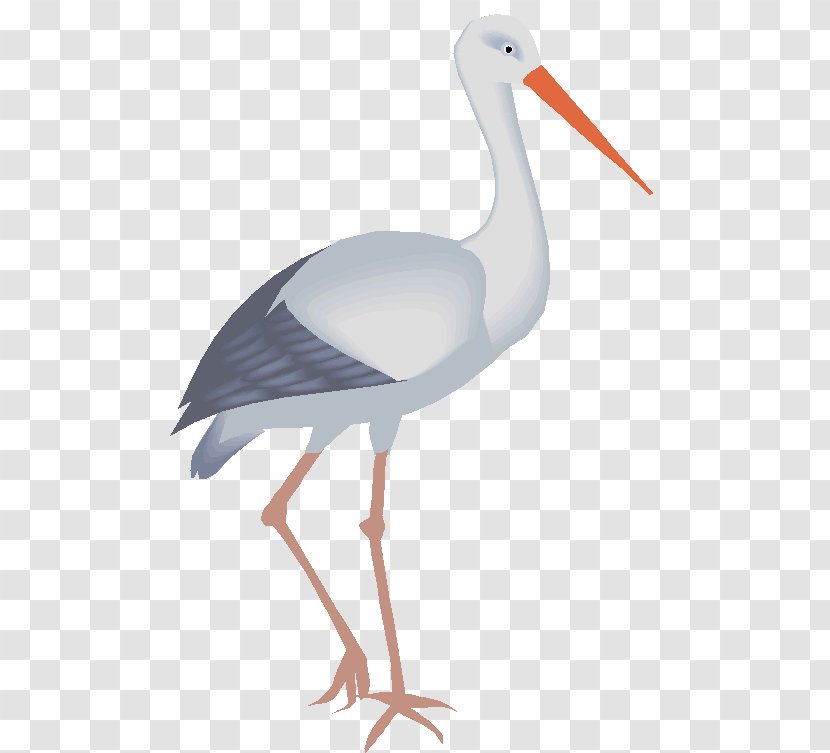 White Stork Bird Drawing Desktop Wallpaper Clip Art - Crane Like - Animal Transparent PNG