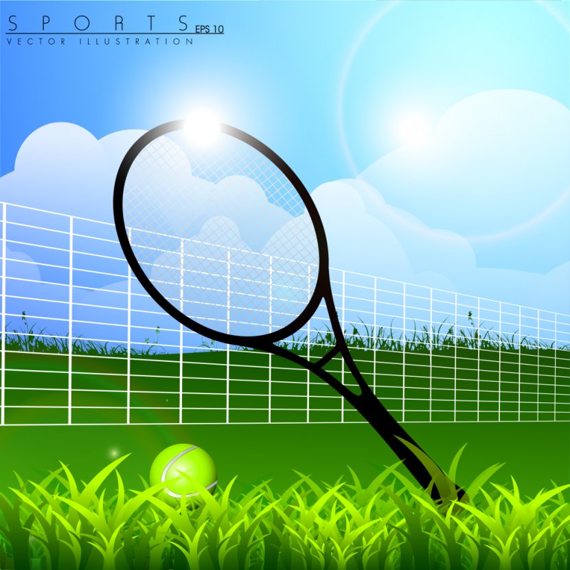 Ball Tennis Strings Grass Court Sport - Football Transparent PNG