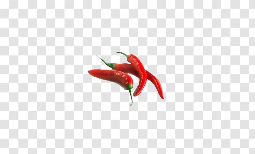 Birds Eye Chili Serrano Pepper Tabasco Cayenne Malagueta - Fresh Red Transparent PNG