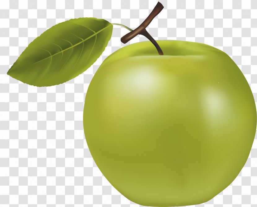 Granny Smith Manzana Verde Apple - A Green Transparent PNG