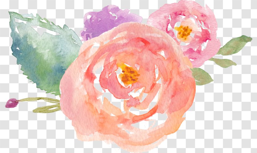 Watercolor Painting Drawing Clip Art - Flowering Plant - Flower Transparent PNG