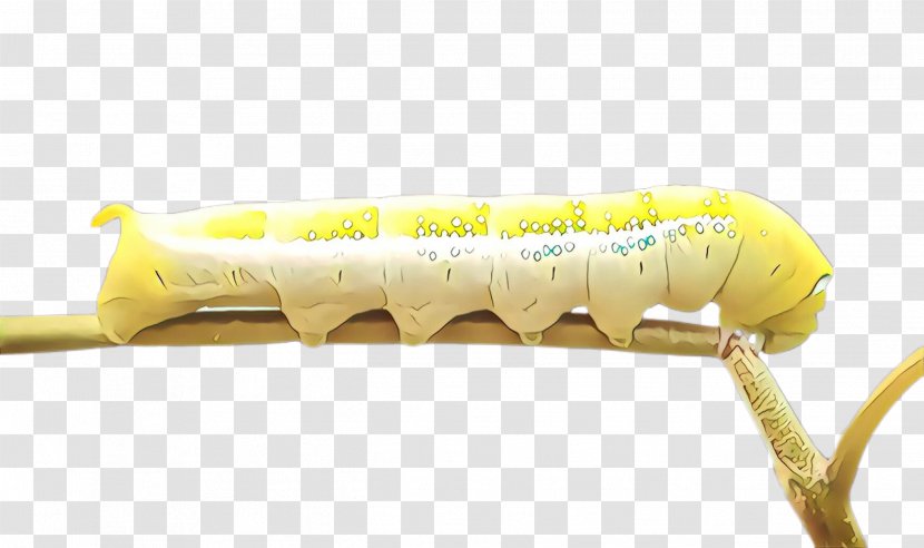 Yellow Caterpillar Insect Larva - Cartoon Transparent PNG