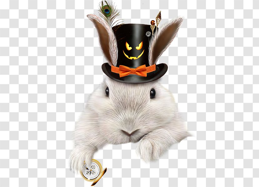Domestic Rabbit European Hat - Fashion Accessory Transparent PNG