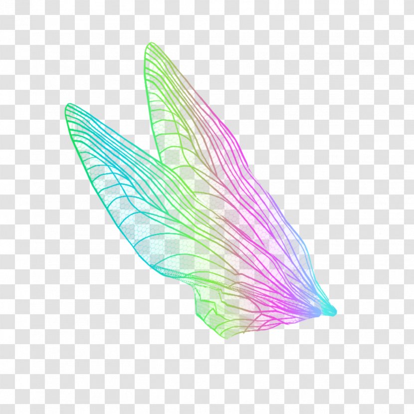 Line - Wing - Feather Transparent PNG