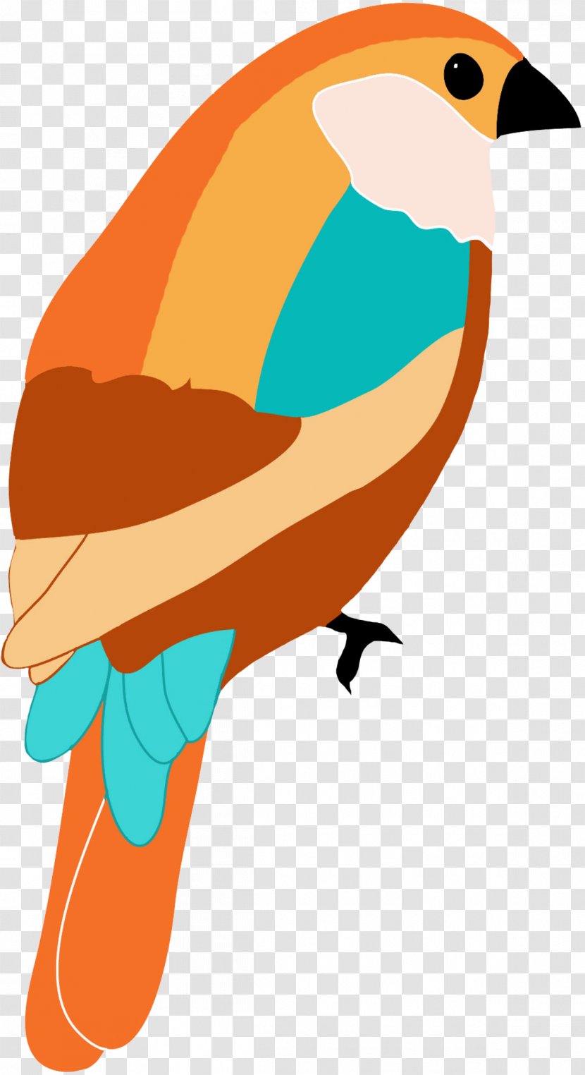 Hummingbird Drawing Art Clip - Orange - Bullfinch Transparent PNG