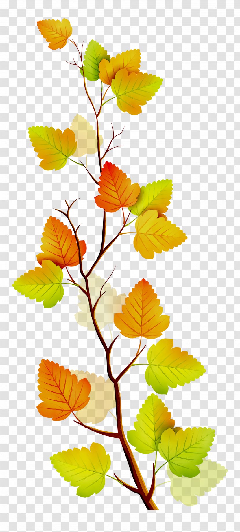 Twig Leaf Plant Stem Clip Art Deciduous - Flower Transparent PNG