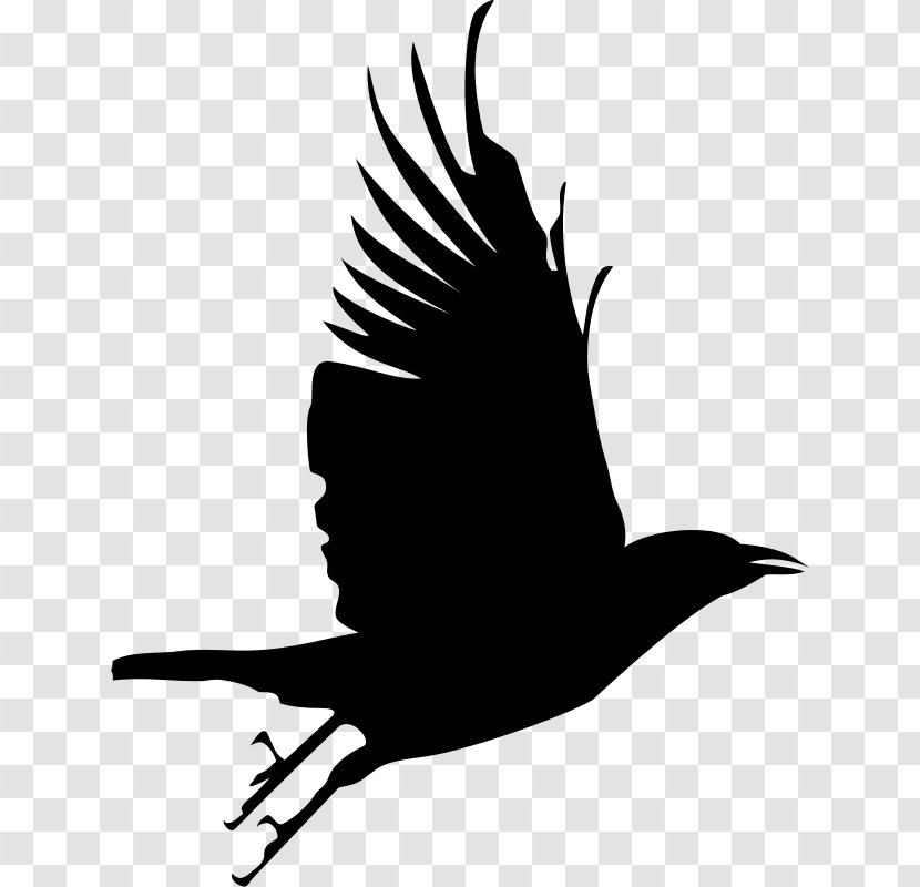 Common Raven Bird Silhouette Clip Art - Wing - Flying Crow Transparent PNG