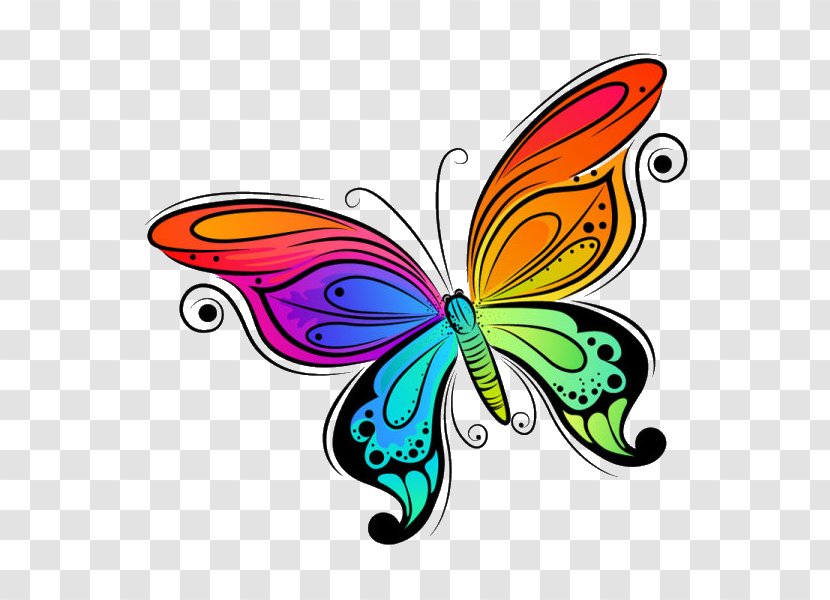 Butterfly Clip Art Vector Graphics Drawing Image - Stock Photography Transparent PNG