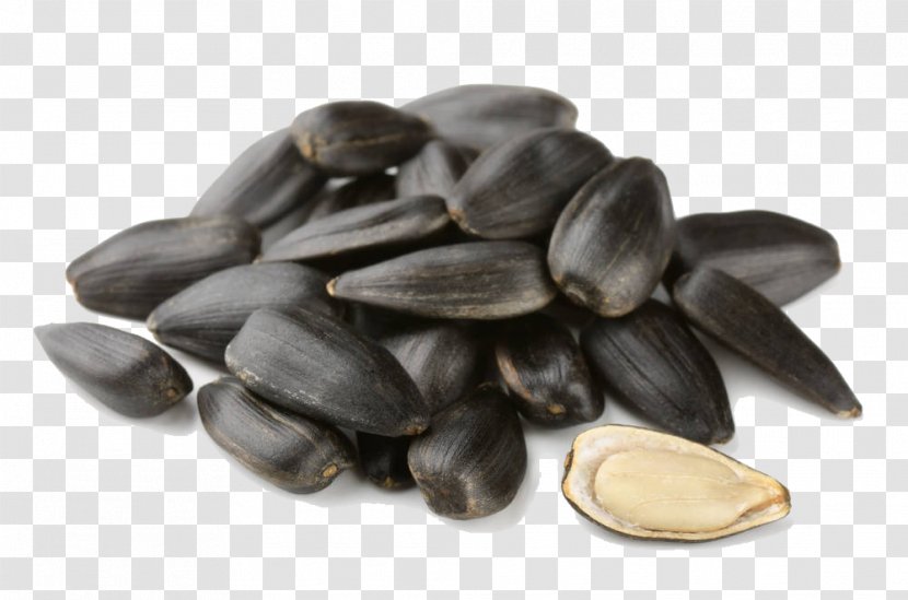 Common Sunflower Seed Stock Photography Snack - Fruit - Black Melon Seeds Transparent PNG