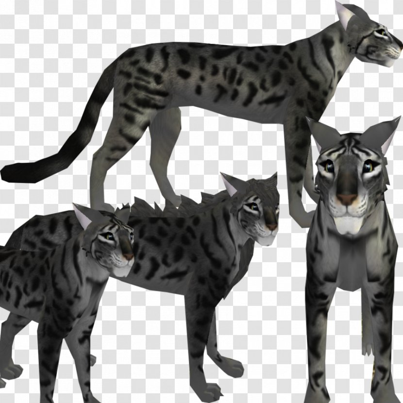 Bengal Cat Feral Felidae Dog Black - Gray Wolf Transparent PNG