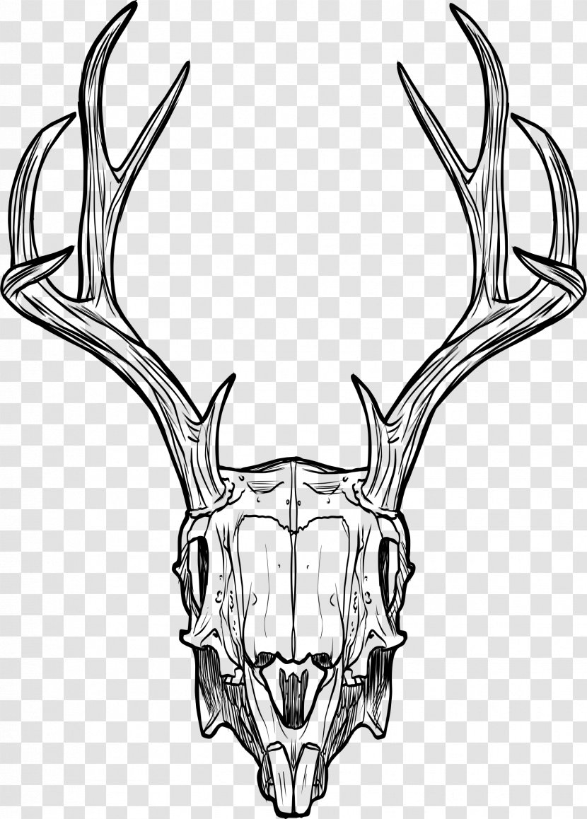 Skull Jackalope Horn Antler Drawing - Monochrome Photography Transparent PNG