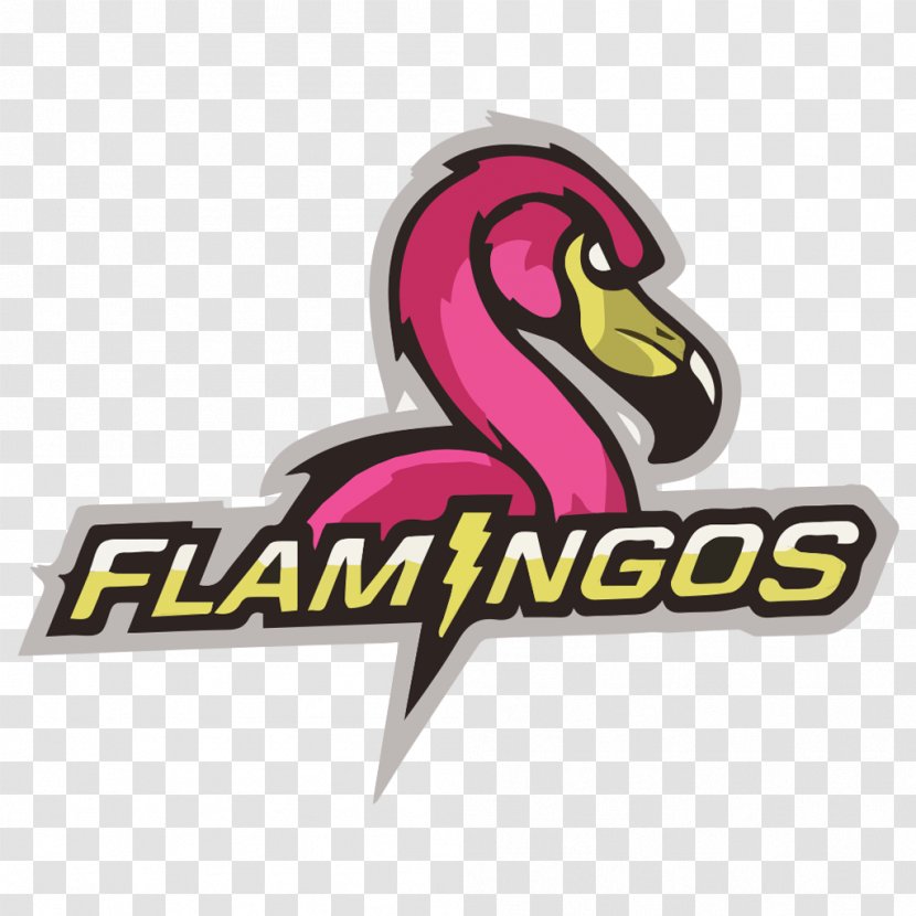 Logo Team Sport Football - Arena - Flamingos Transparent PNG