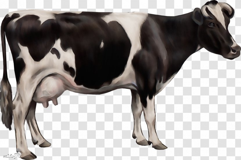 Watercolor Animal - Dairy - Bull Figure Transparent PNG