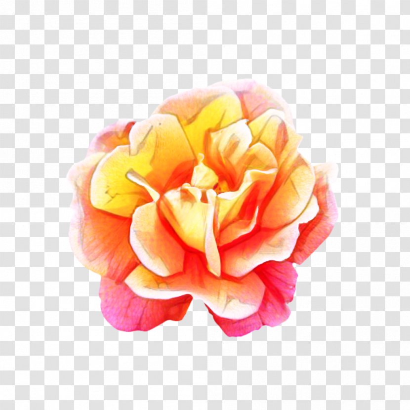 Pink Flower Cartoon - Camellia - Perennial Plant Peony Transparent PNG