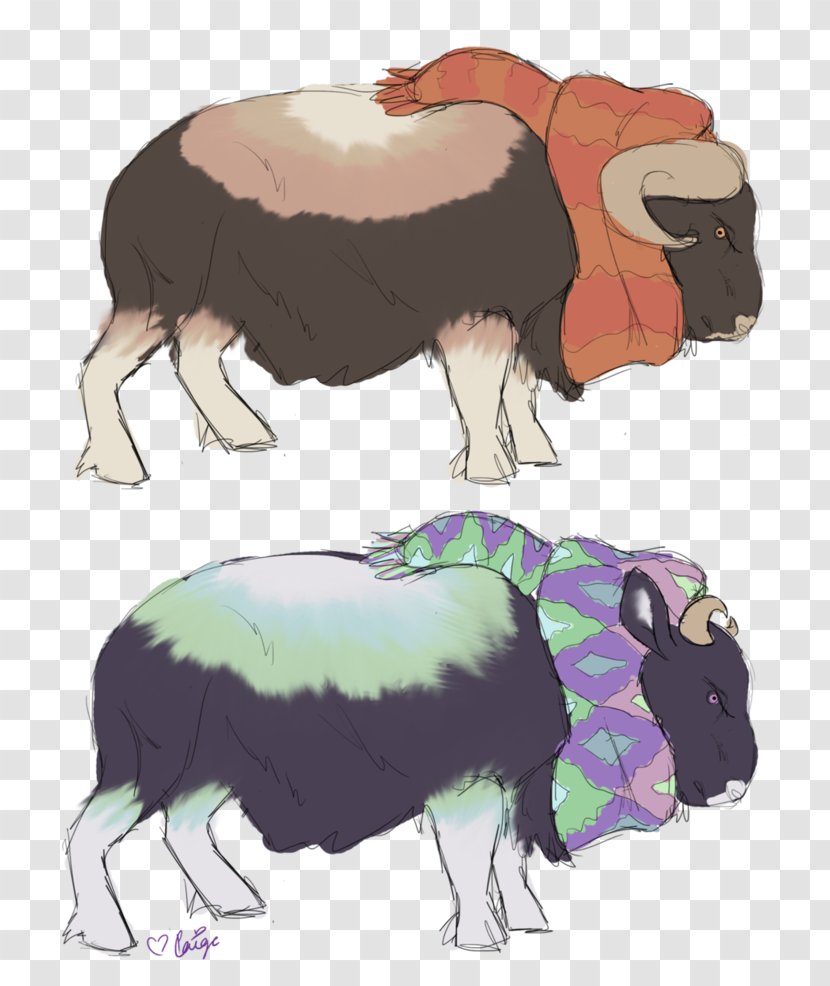 Sheep Cattle Ox Bull Horn - Mammal Transparent PNG