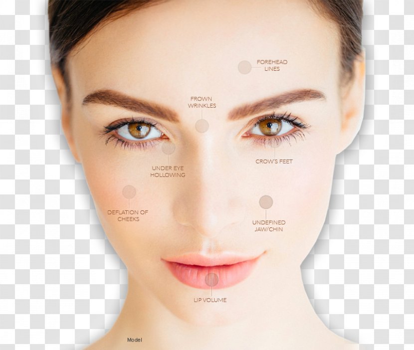 Eyebrow Permanent Makeup Threading Cosmetics Exfoliation - Face - Cosmetic Dermatology Transparent PNG