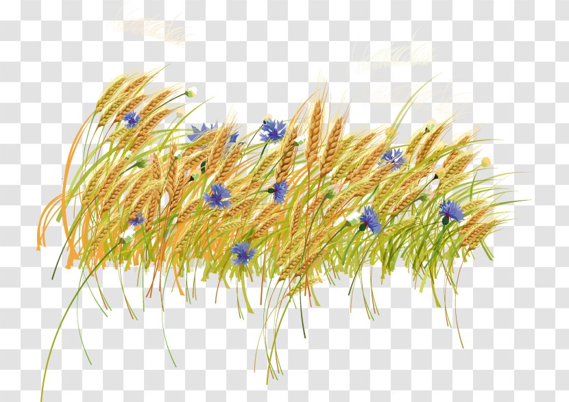 Haystack Wheat Clip Art - Hay - Decorative Golden And Purple Flowers Transparent PNG