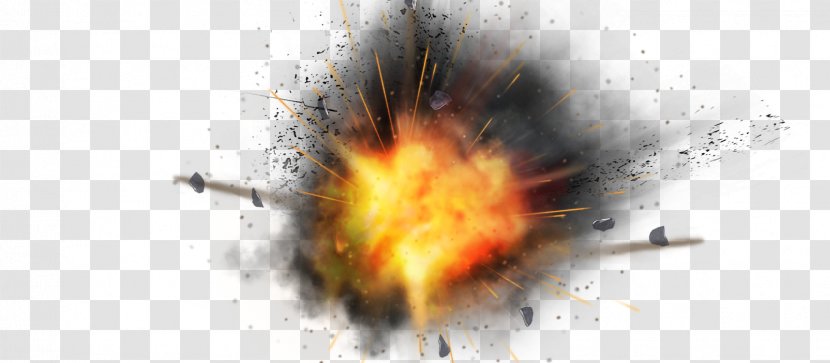 Explosion Icon - Flower Transparent PNG